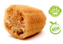 Laden Sie das Bild in den Galerie-Viewer, Luffa Naturschwamm  10 cm | natürlich + vegan | von actiMare natural cosmetics - actiMare.de Shop
