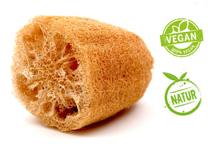 Luffa Naturschwamm  10 cm | natürlich + vegan | von actiMare natural cosmetics - actiMare.de Shop